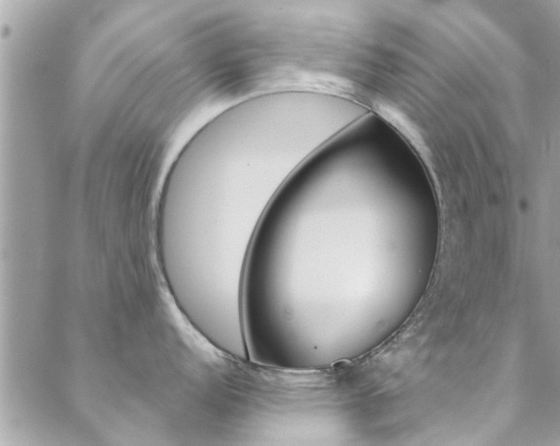 X0000088431152200705221241