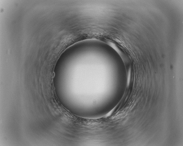 X0000088431153200705221240