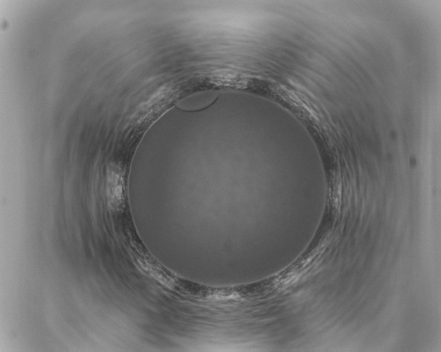 X0000088431154200705221240