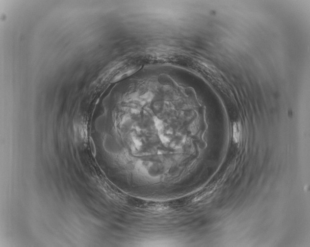 X0000088431155200705221240