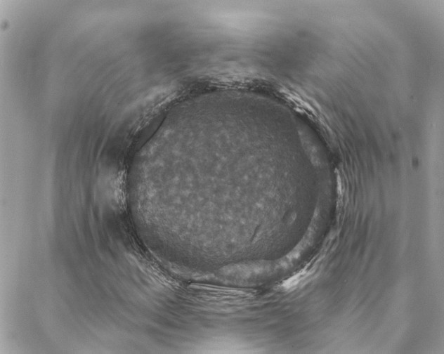 X0000088431156200705221240