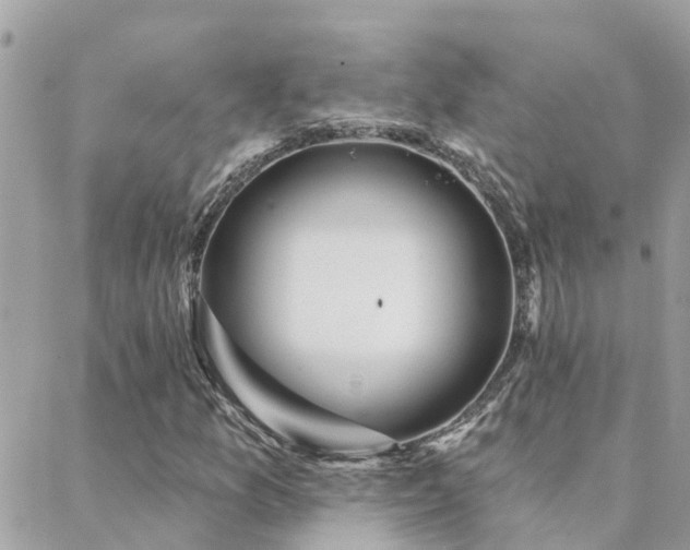 X0000088431157200705221240