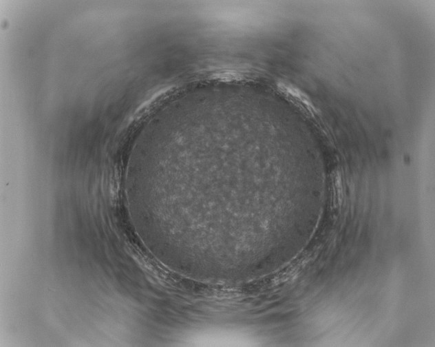 X0000088431158200705221240