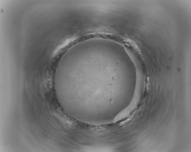 X0000088431159200705221240