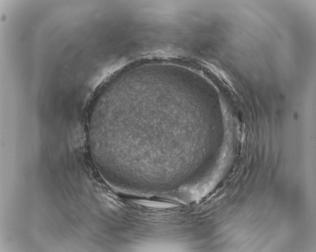 X0000088431160200705221240