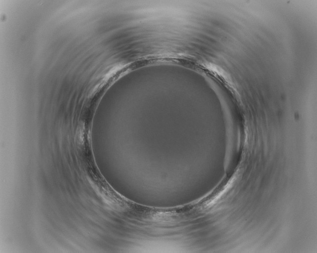 X0000088431161200705221240