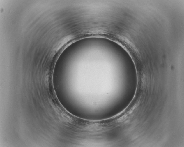 X0000088431162200705221240