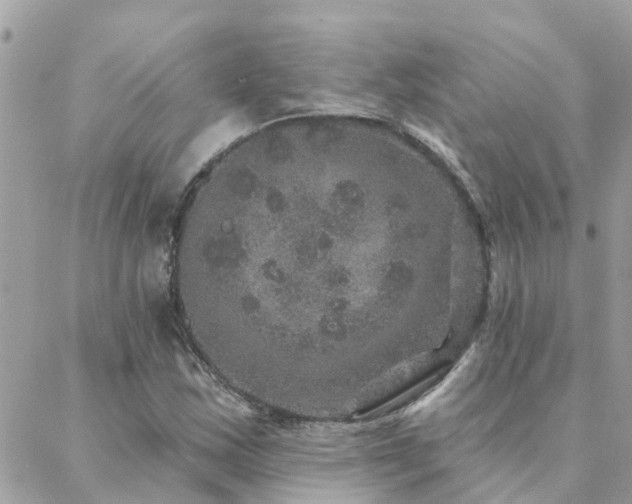 X0000088431163200705221240