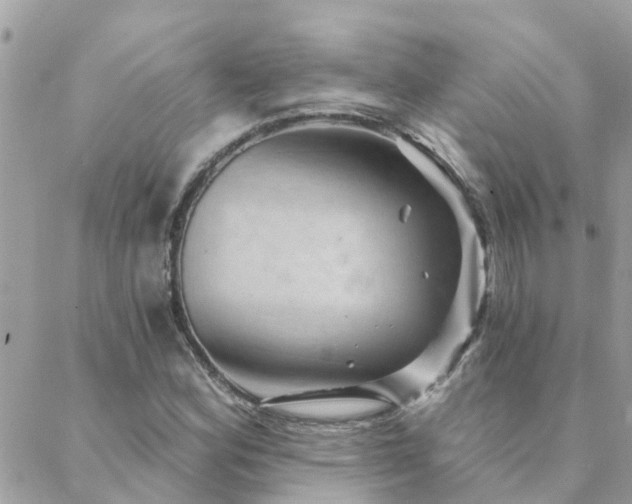 X0000088431164200705221240