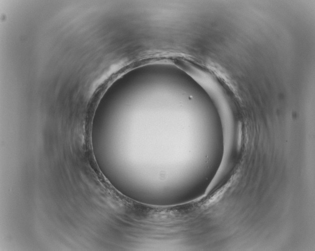 X0000088431165200705221240