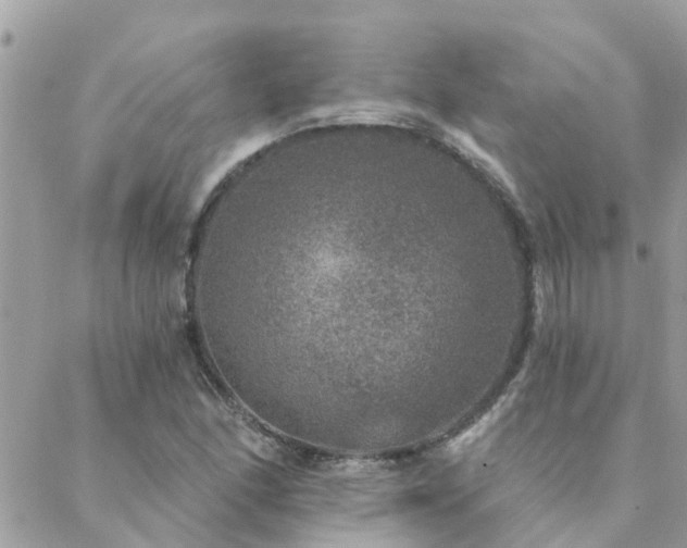 X0000088431166200705221240