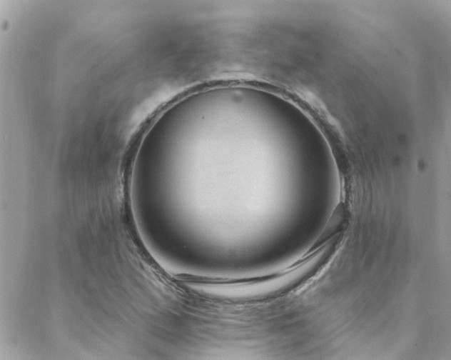 X0000088431167200705221240