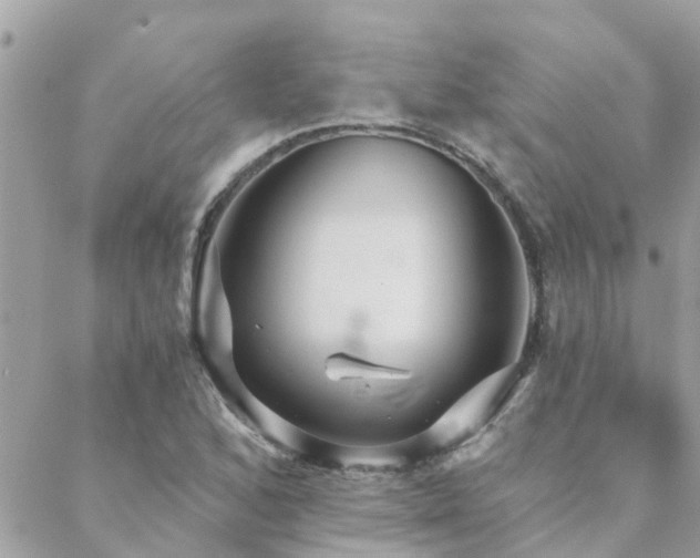 X0000088431168200705221240