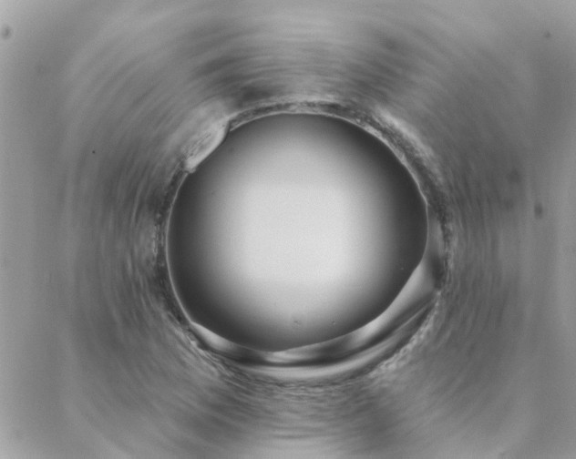 X0000088431169200705221240