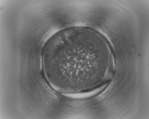 X0000088431171200705221240