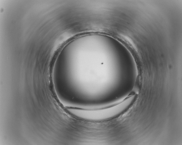 X0000088431172200705221240