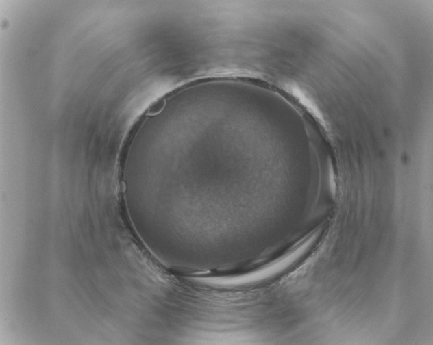 X0000088431173200705221240