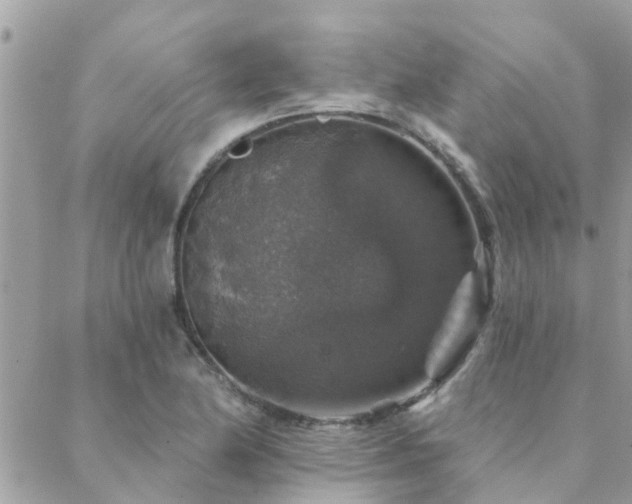 X0000088431174200705221240