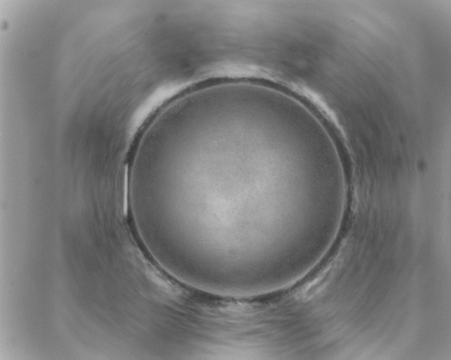 X0000088431175200705221240