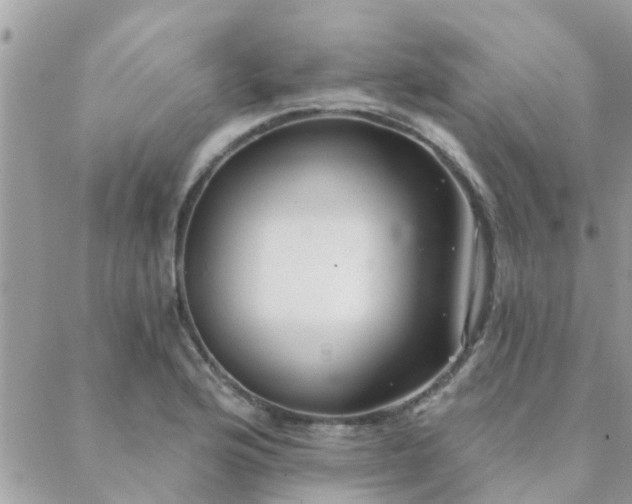 X0000088431176200705221240