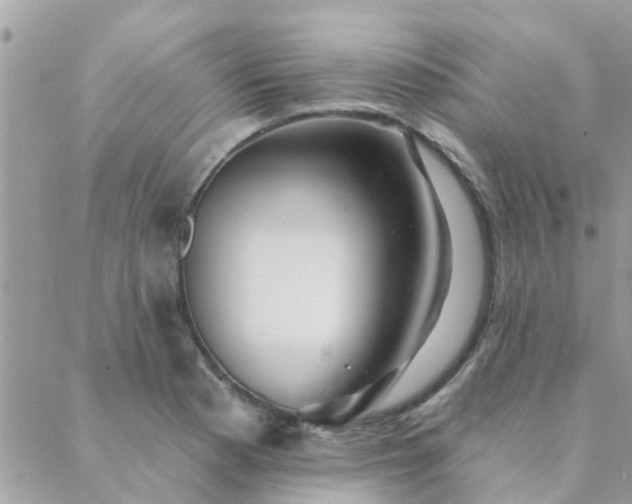 X0000088431177200705221240