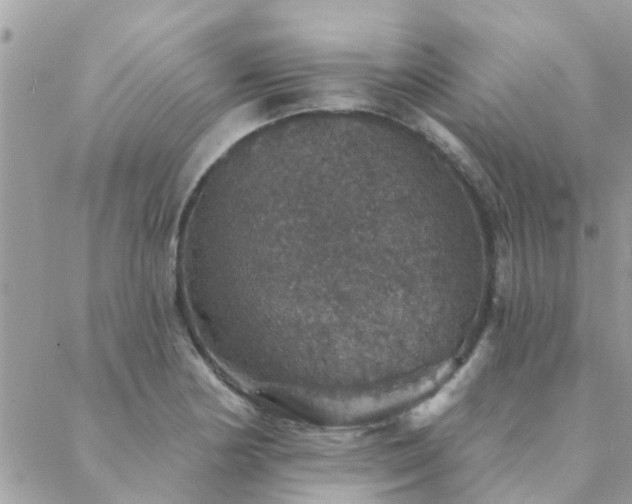 X0000088431178200705221240