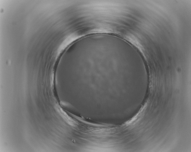 X0000088431179200705221240