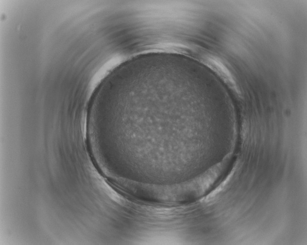 X0000088431180200705221240