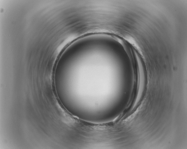 X0000088431181200705221240