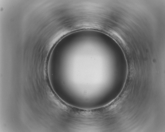 X0000088431182200705221240