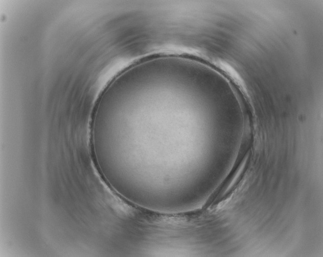 X0000088431183200705221239