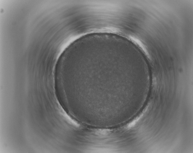 X0000088431184200705221239