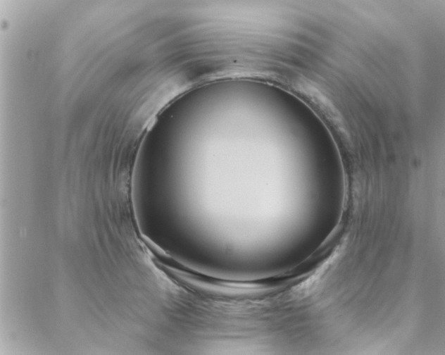 X0000088431185200705221239