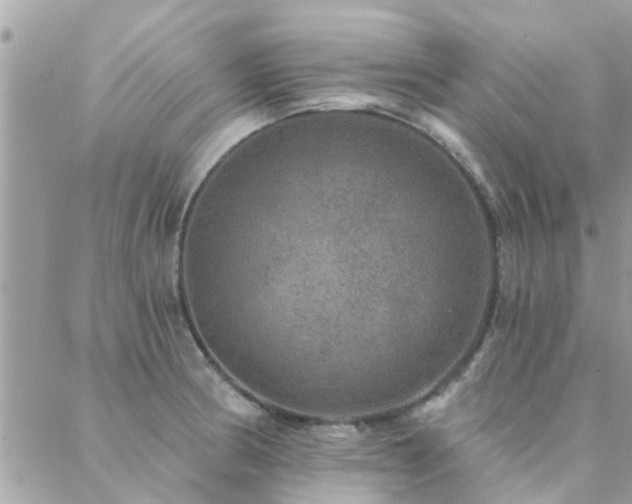 X0000088431186200705221239