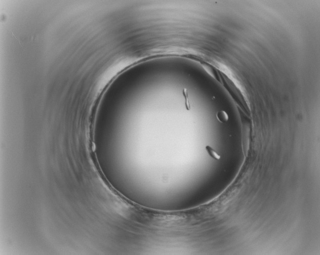 X0000088431187200705221239