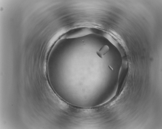 X0000088431188200705221239