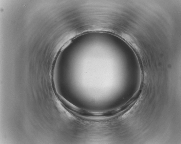 X0000088431189200705221239