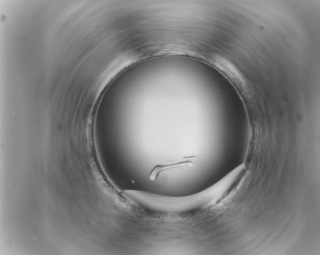 X0000088431190200705221239