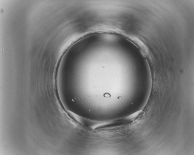 X0000088431191200705221239