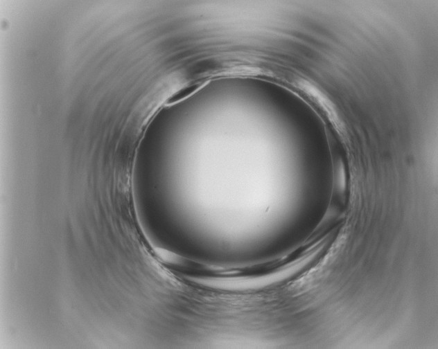 X0000088431193200705221239