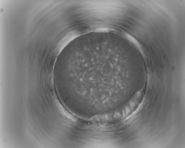 X0000088431194200705221239