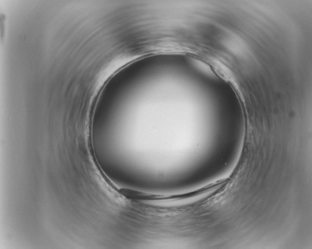 X0000088431195200705221239