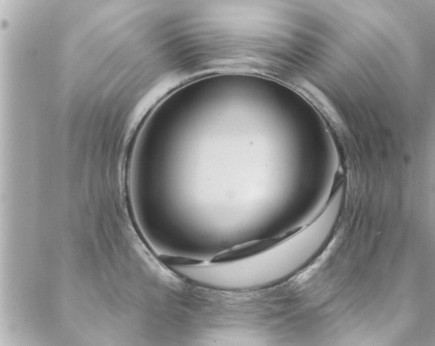 X0000088431196200705221239