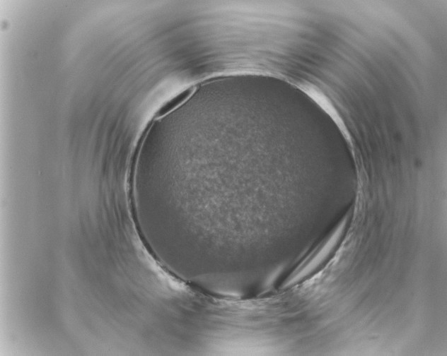 X0000088431197200705221239