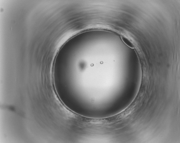 X0000088431199200705221239