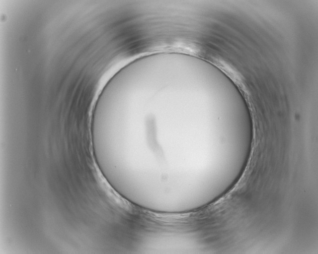 X0000088431200200705221239