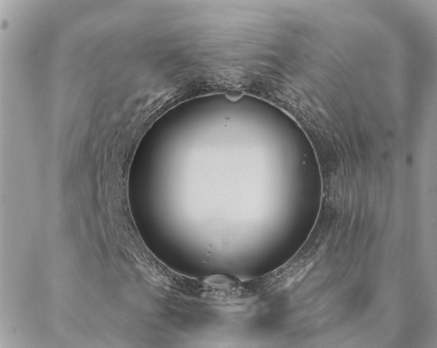 X0000088431201200705221238