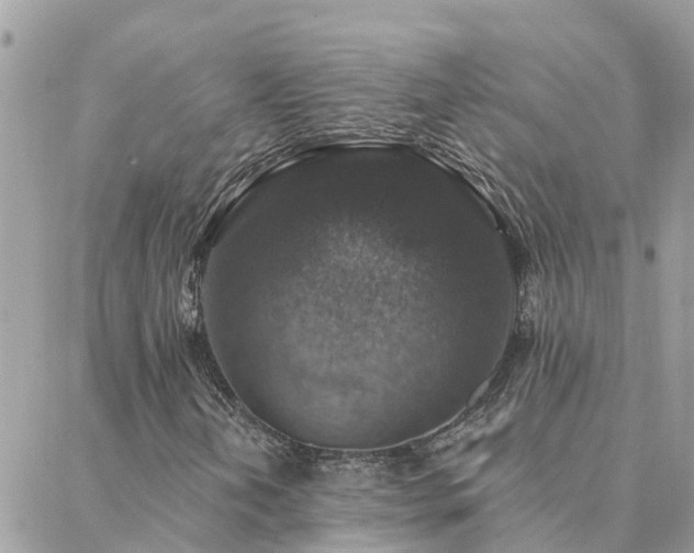 X0000088431202200705221238