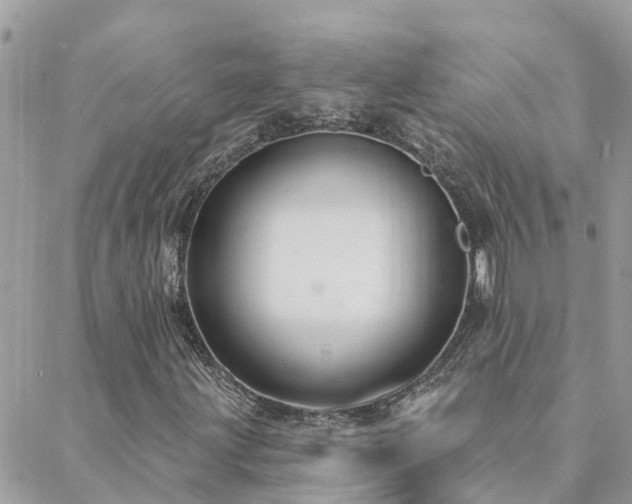 X0000088431203200705221238