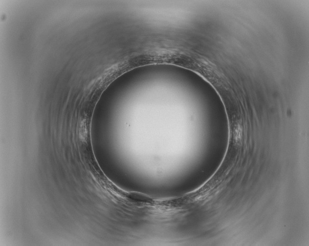 X0000088431204200705221238